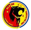 Emblem of the 48th Wing
