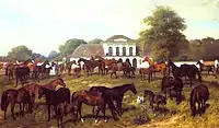 The herd of Fenékpuszta