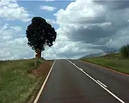 Isis Highway between Apple Tree Creek and Bundaberg