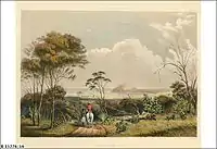 Painting of Encounter Bay by George French Angas circa 1846 depicting Rosetta Head from the east.