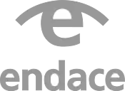 Endace logo