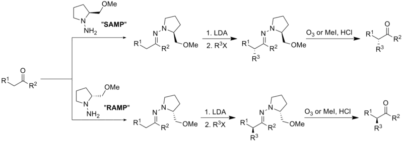 Enders' SAMP/RAMP Hydrazone Alkylation Reaction