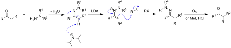 Mechanism of hydrazone alkylation