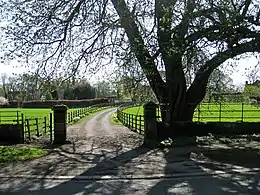 Colour photograph of where the priory used to be