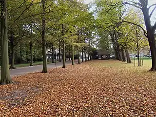 Clingendael drive