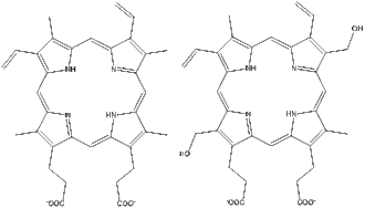 Left: protoporphyrin IX; Right: modification for ester linkage.