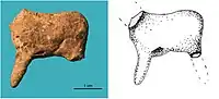 Epigravettian ceramic figurine of a horse or deer, Vela Spila, Croatia, dated to 15,400-14,600 BP.