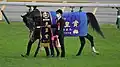 2022 Tenno Sho (Autumn)