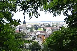 View from Kapellenberg ("chapel hill")