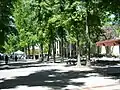 Erwin Street Pedestrian Mall in Government Center