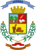 Official seal of Atenas