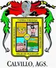 Coat of arms of Calvillo, Aguascalientes