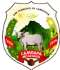 Coat of arms of Camoapa