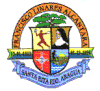 Official seal of Francisco Linares Alcántara Municipality