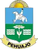 Coat of arms of Pehuajó