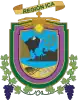 Official seal of Department of Ica
