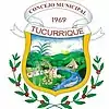 Official seal of Tucurrique
