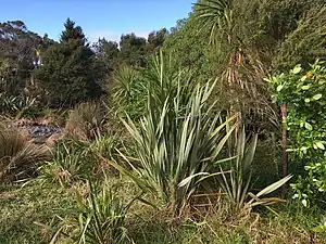 Eskdale Reserve in Windy Ridge