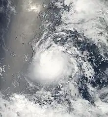 Tropical Storm Estelle at peak intensity on August 6