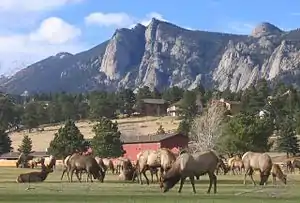 Estes Park Golf Course