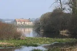 Nature reserve pond of Landes