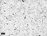 Fig. 1: Thermally etched 99.9% alumina