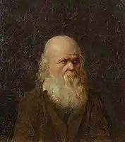 Portrait of an old man, n.d., private collection.