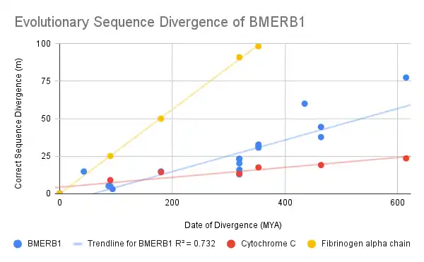 Evolutionary Sequence Divergence of BMERB1