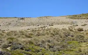 Arid landscape with sparse vegetation