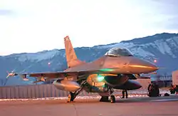 A US Air Force F-16 Fighting Falcon of the 31st Fighter Wing based at Aviano
