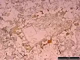 cordierite in sample CV-142 from the Strathbogie S-type Granite, Australia.