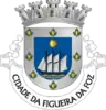 Coat of arms of Figueira da Foz