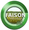 Official seal of Faison, North Carolina