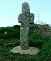 Fig. d21a: Tremethick Cross