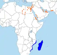Eastern Libya to southwestern Pakistan, southeast Africa, Madagascar