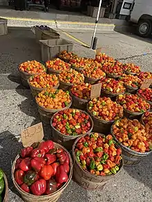 Buckets of red, green, orange, and yellow peppers in Minneapolis, Minnesota, United States.