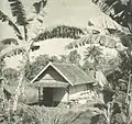 Farmer's house(West Java)