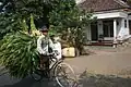 Farmer on roadster bicycle used for freight in Indonesia