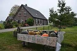 Farm with pumpkins for sale