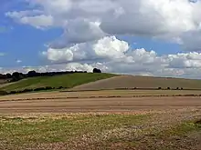 Quarley Hill Fort