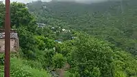 Lush greenery of monsoon