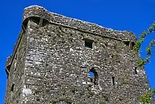 Bartizans at Feartagar Castle, Ireland.