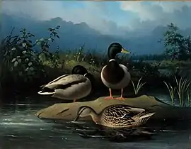 Mallards, 1874