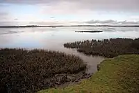 River Fergus Estuary