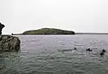Diving Near Fergus Island