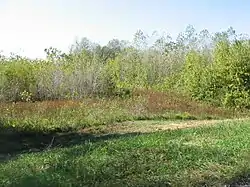 Countryside along the Wabash River