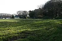 Field at Playing Place, the site of the plain-an-gwarry that gave the village of Playing Place its name.