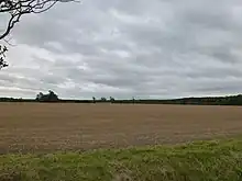 Large modern field, bare-soiled under a heavily clouded sky. It is September of a dry year, and the harvest has been in for over a month and the land prepared for next year.  It looks bare and harrowed to a very smooth surface. Distant woodland frames the field.