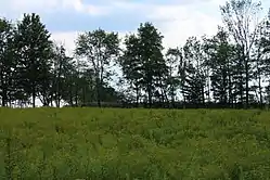 Field and trees in Northmoreland Township