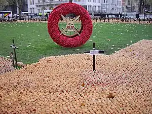 Massed tokens of remembrance and a large wreath at the Field of Remembrance